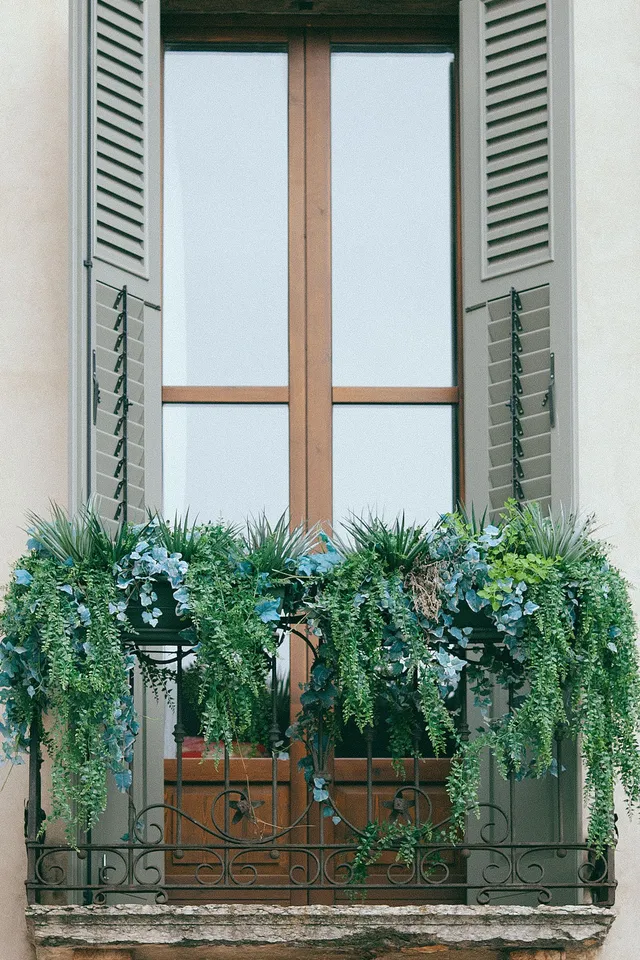 Balcony of an old building filled with plants