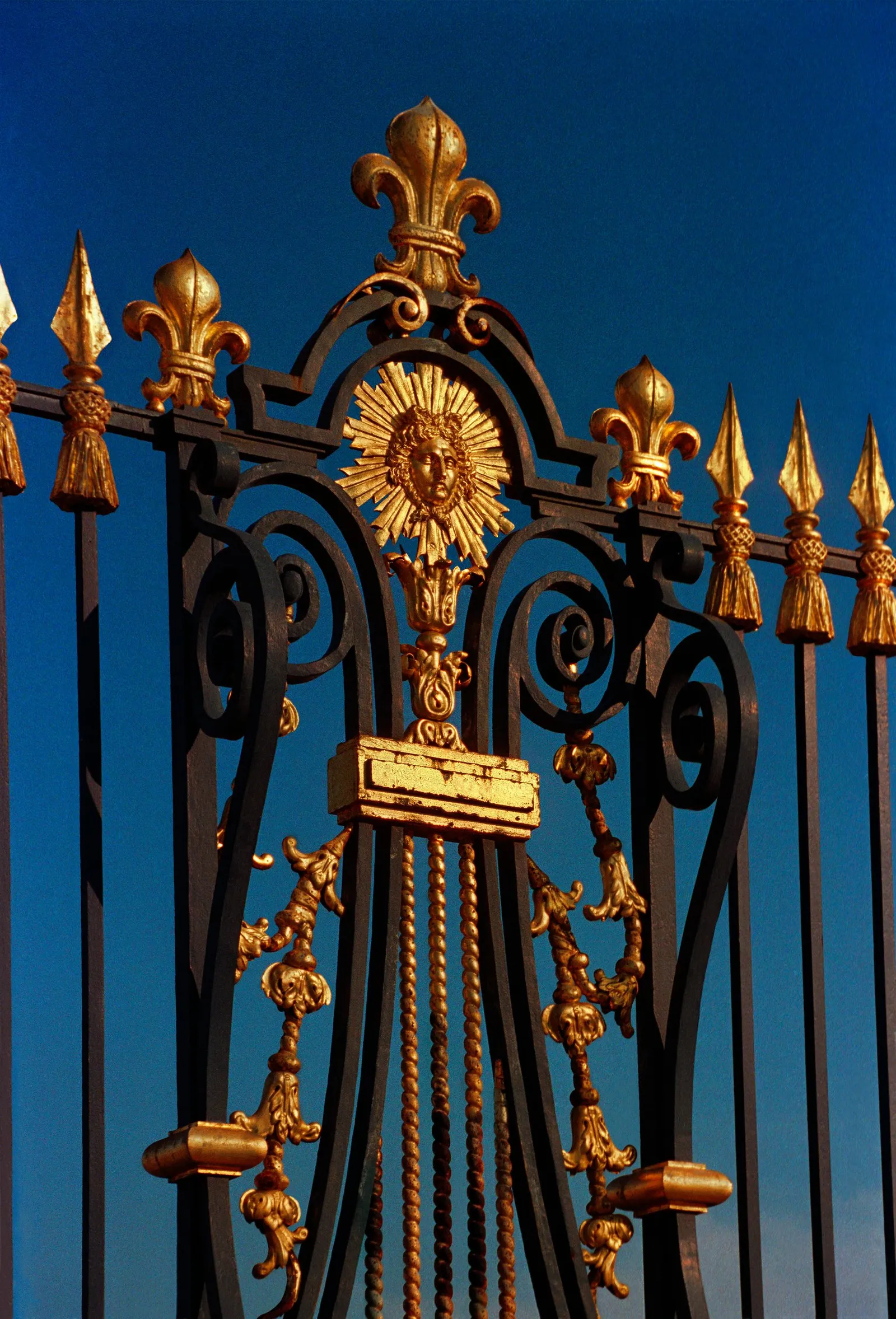 Ornate iron gate with gilded details