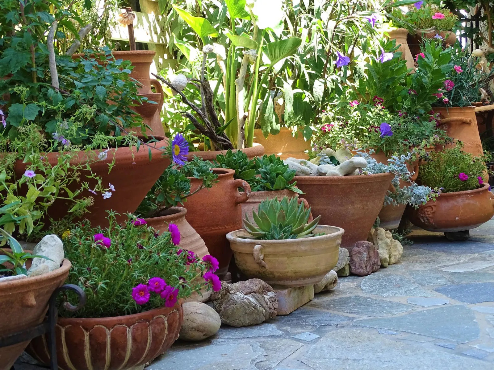 Collection of terracotta pots and planters on a terrace