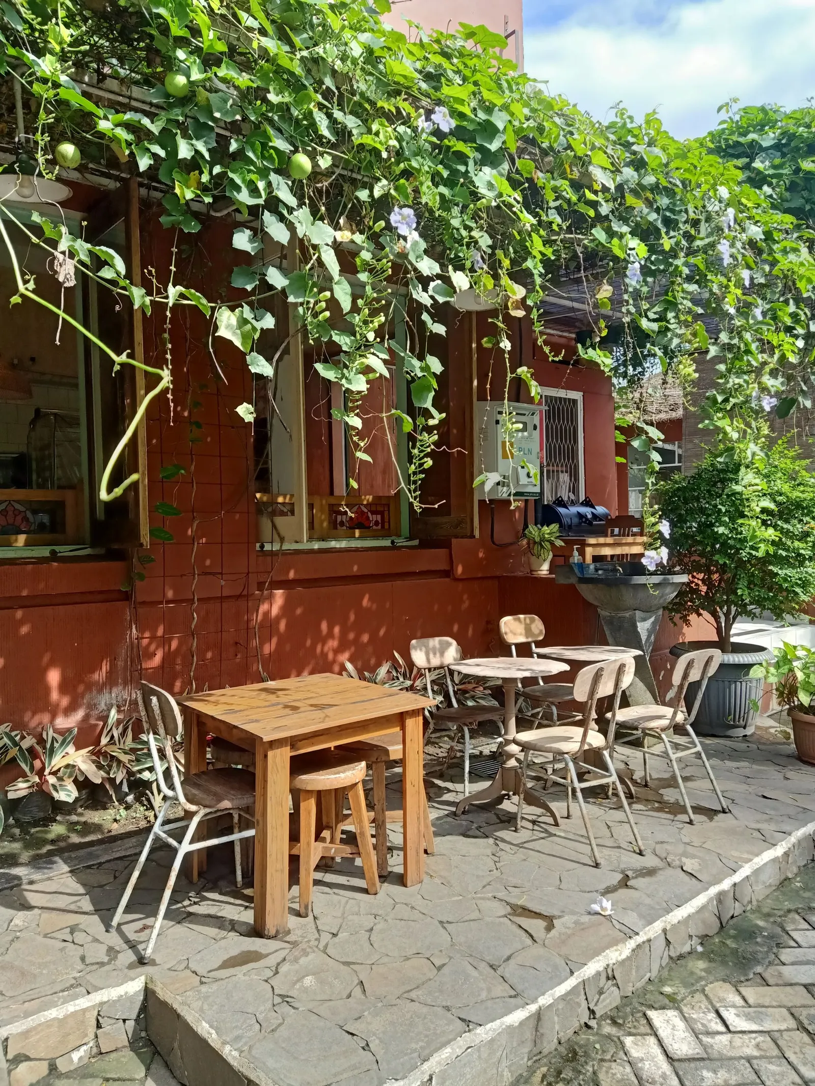 Terrace with table and chairs, ivy-covered facade